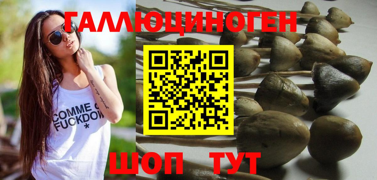 Кириши  Псилоцибиновые грибы мицелий  Вход с VPN 