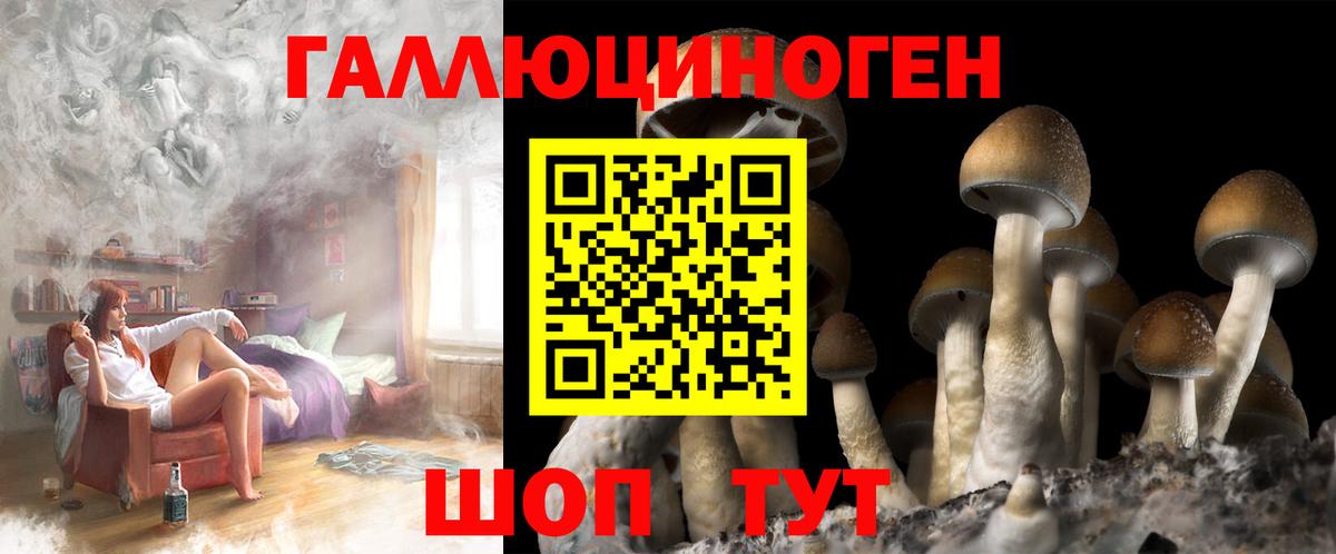 Псилоцибиновые грибы ЛСД Кириши